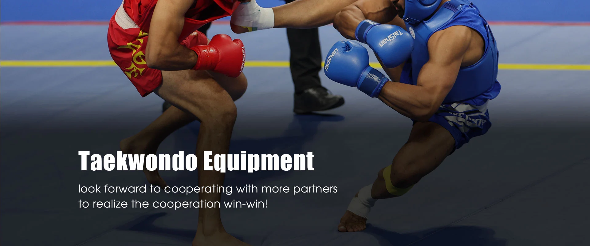Fabricant chinois d'équipement de taekwondo