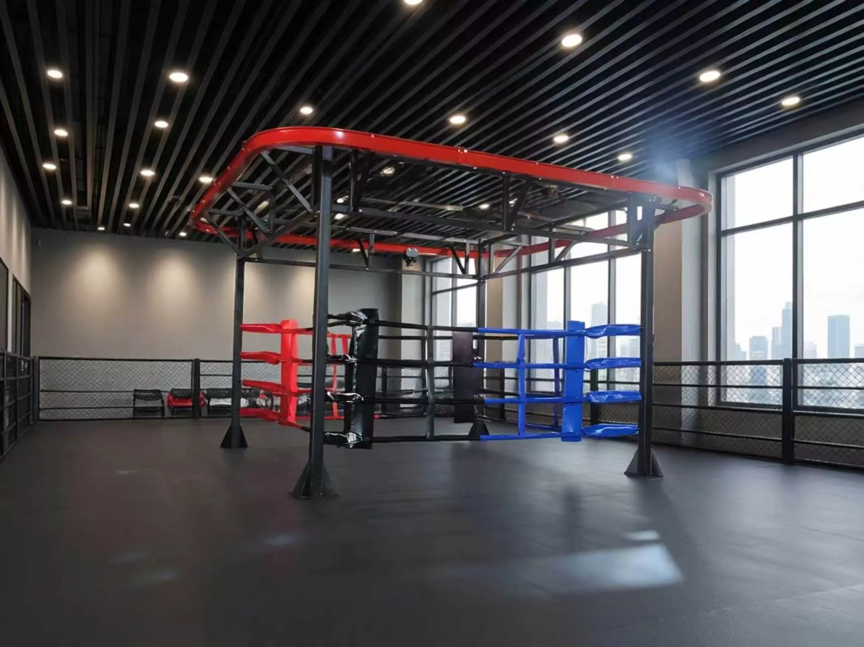 Voulez-vous combiner le ring sparring, le travail avec des sacs lourds et l’entraînement physique fonctionnel sur un seul équipement ?