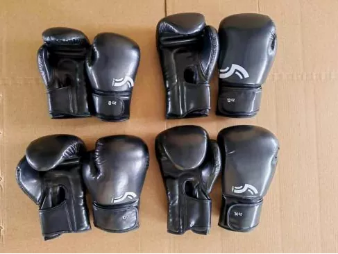 Gants de boxe Pandawin Sports : quel modèle convient le mieux à votre intensité d’entraînement et à votre budget ?