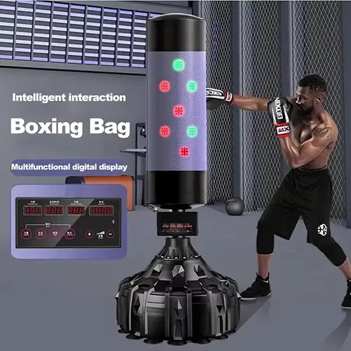 Musical Boxing Sandbag